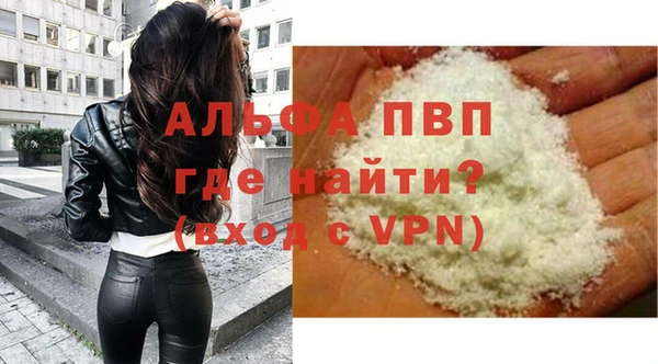 СК Алексин