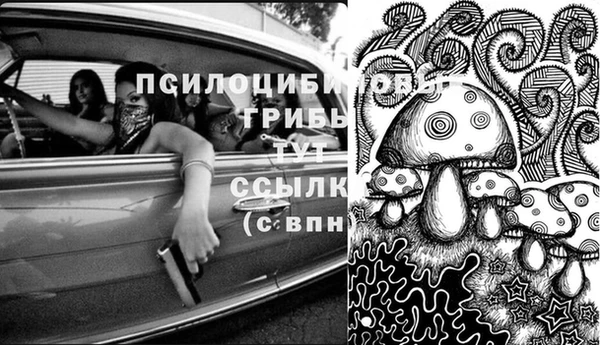 PSILOCYBIN Абдулино
