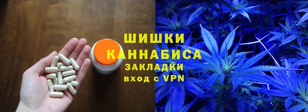 СК Алексин